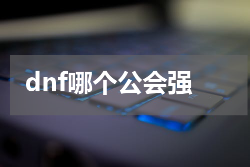dnf哪个公会强