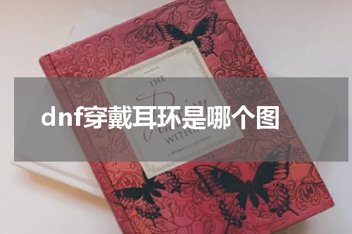 dnf穿戴耳环是哪个图