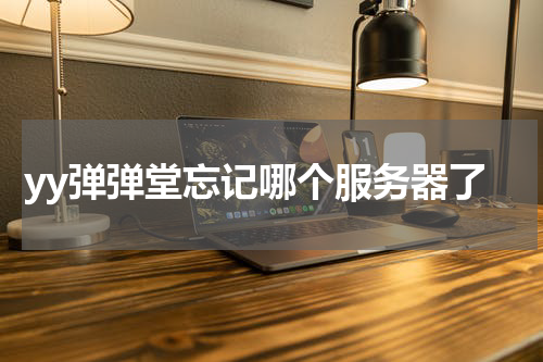 yy弹弹堂忘记哪个服务器了
