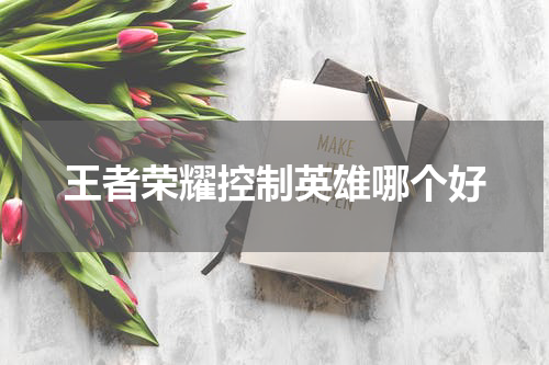 王者荣耀控制英雄哪个好
