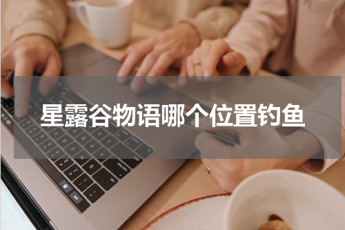 星露谷物语哪个位置钓鱼