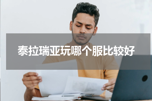 泰拉瑞亚玩哪个服比较好