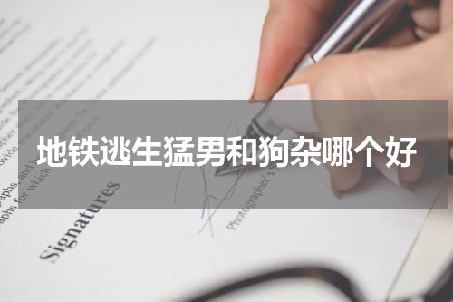 地铁逃生猛男和狗杂哪个好