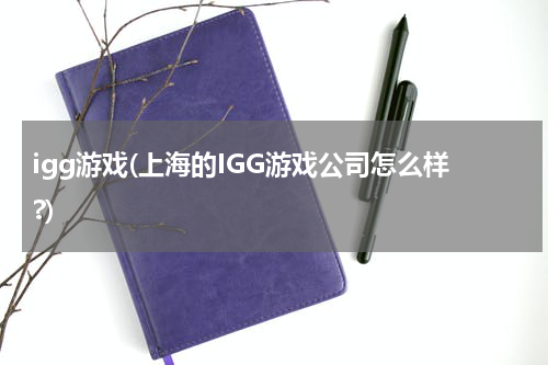 igg游戏(上海的IGG游戏公司怎么样?)