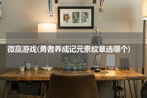 微赢游戏(勇者养成记元素纹章选哪个)
