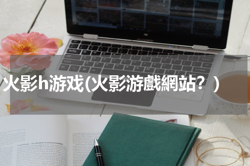 火影h游戏(火影游戲網站？)