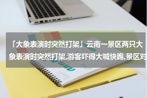 「大象表演时突然打架」云南一景区两只大象表演时突然打架,游客吓得大喊快跑,景区对此有何回应...