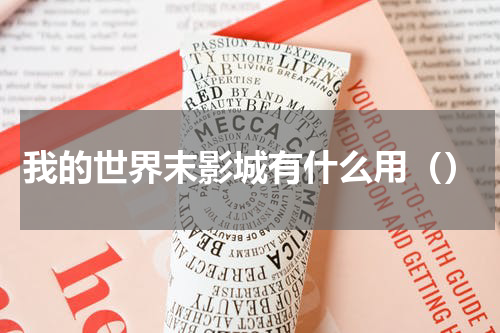 我的世界末影城有什么用（）