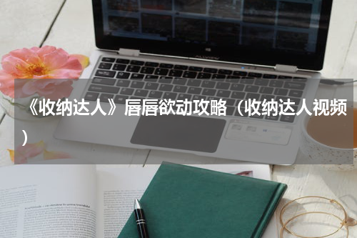 《收纳达人》唇唇欲动攻略（收纳达人视频）