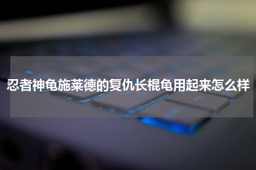 忍者神龟施莱德的复仇长棍龟用起来怎么样