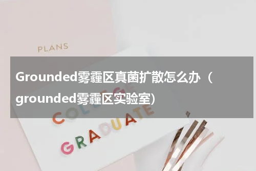 Grounded雾霾区真菌扩散怎么办（grounded雾霾区实验室）