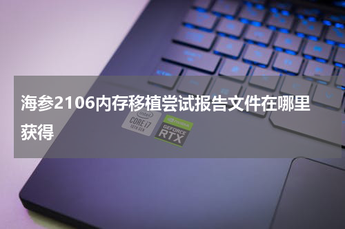 海参2106内存移植尝试报告文件在哪里获得