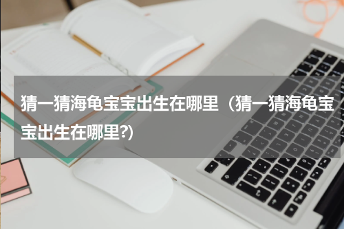 猜一猜海龟宝宝出生在哪里（猜一猜海龟宝宝出生在哪里?）