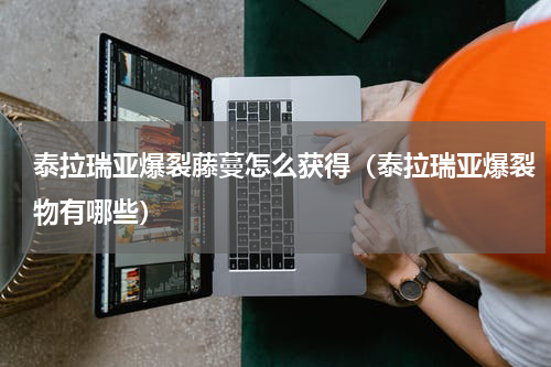泰拉瑞亚爆裂藤蔓怎么获得（泰拉瑞亚爆裂物有哪些）