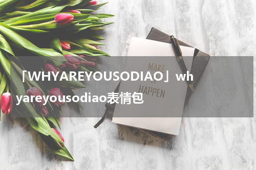 「WHYAREYOUSODIAO」whyareyousodiao表情包