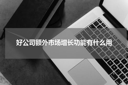 好公司额外市场增长功能有什么用