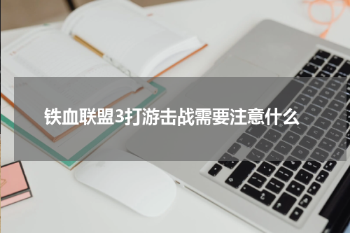 铁血联盟3打游击战需要注意什么