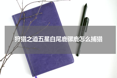 狩猎之道五星白尾鹿骡鹿怎么捕猎